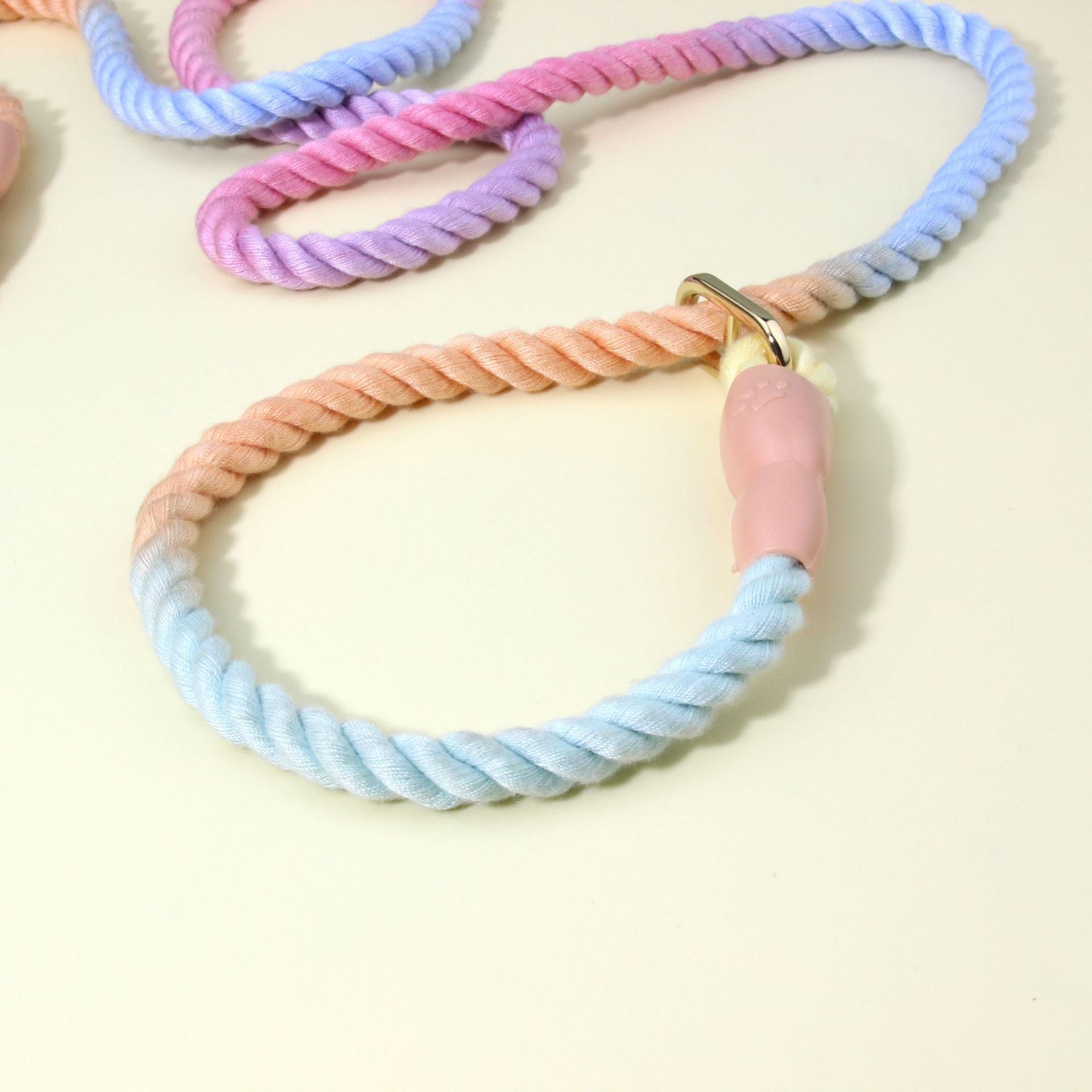 Colorful Vibrant Rainbow Ombre Rope Dog Leash - Durable Nylon P-Chain Slip Lead for Small & Medium Breeds - Image 3