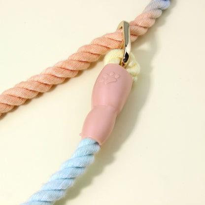Colorful Vibrant Rainbow Ombre Rope Dog Leash - Durable Nylon P-Chain Slip Lead for Small & Medium Breeds - Image 4