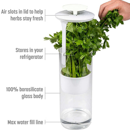 Green Premium Herb Savor & Freshness Keeper - Extends Life of Herbs, Cilantro, Parsley & More - Image 2