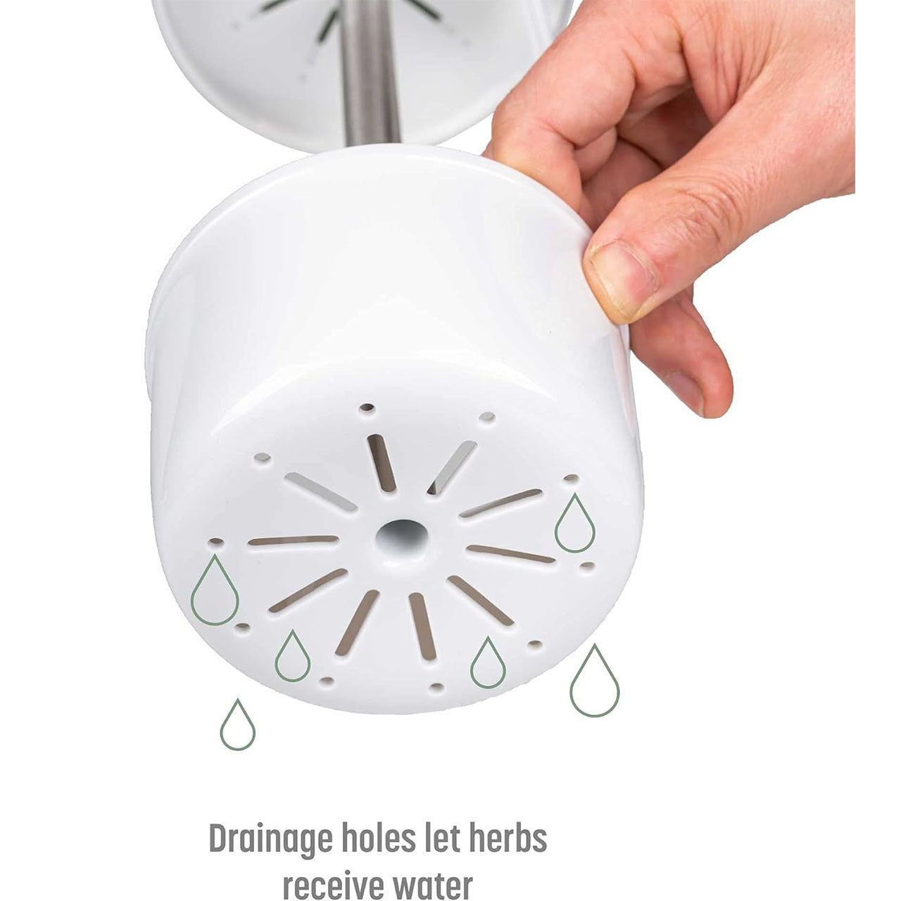Green Premium Herb Savor & Freshness Keeper - Extends Life of Herbs, Cilantro, Parsley & More - Image 4