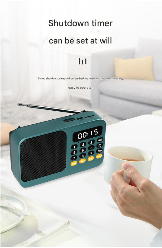 Portable Digital Music Player & FM Radio,4 Playback Modes, LED Flashlight(Blue) - Image 6