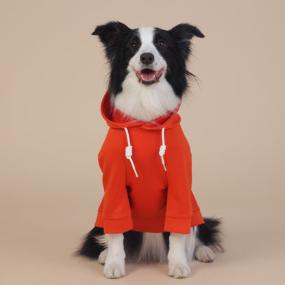 Orange Classic Dog Sweatshirt with Hood & Drawstrings - For Large Dogs (Size : 6XL) - Image 2