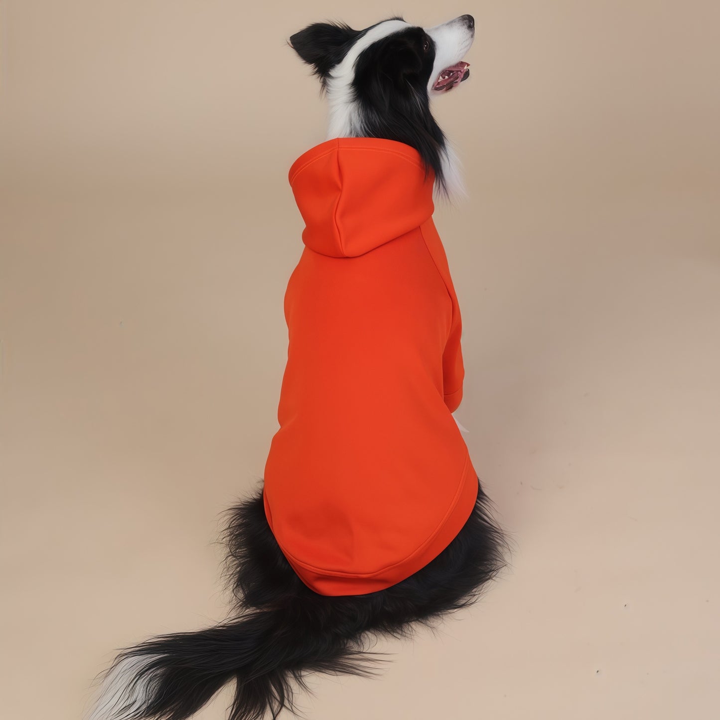 Orange Classic Dog Sweatshirt with Hood & Drawstrings - For Large Dogs (Size : 6XL) - Image 3
