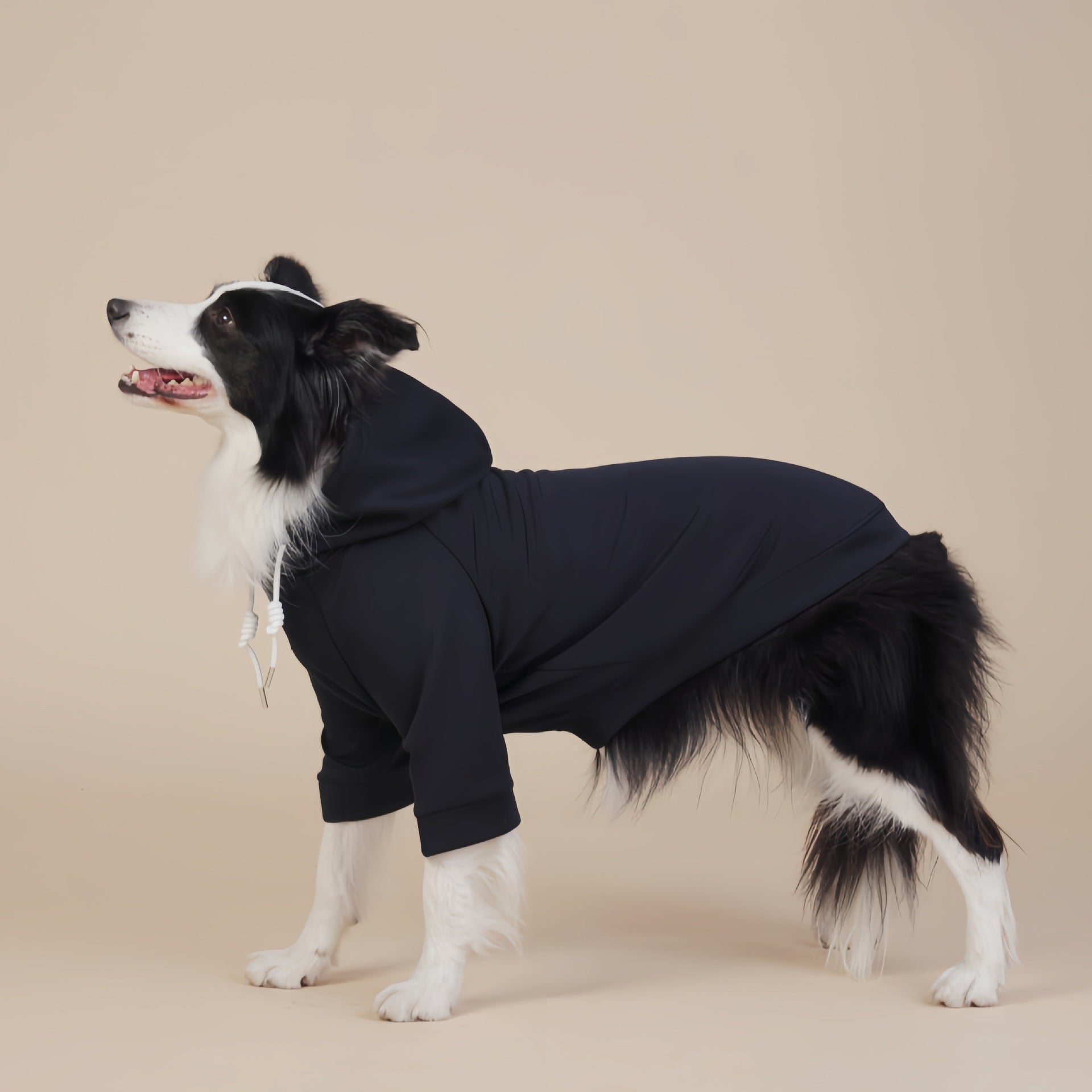 Black Classic Dog Sweatshirt with Hood & Drawstrings - For Large Dogs (Size : 8XL) - Image 2