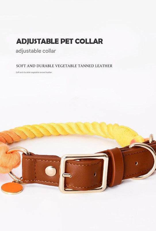 Premium Leather Pet Collar and Leash - Soft, Strong Braided Rope (Purple - Size M) - Image 2