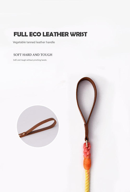 Premium Leather Pet Collar and Leash - Soft, Strong Braided Rope (Purple - Size M) - Image 3