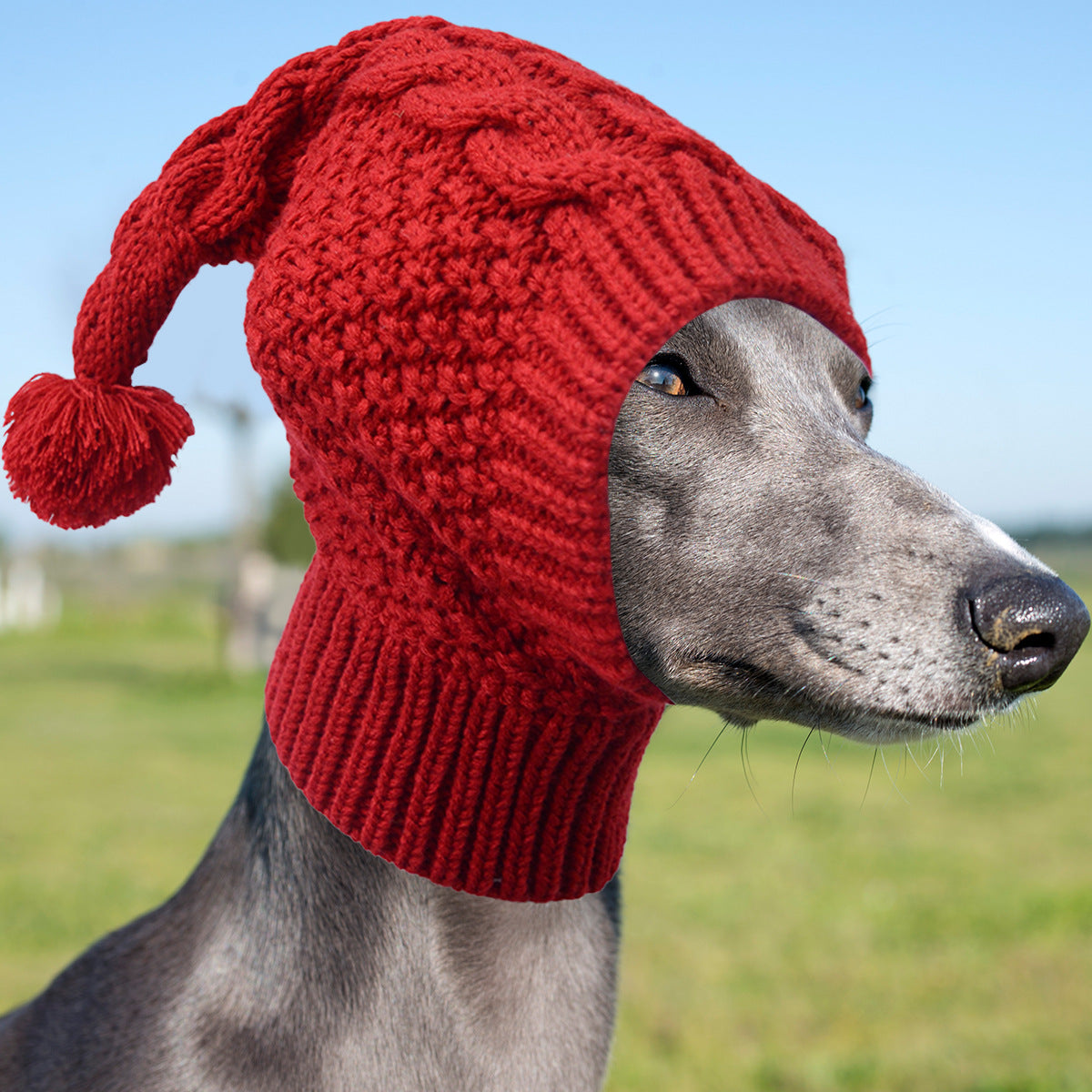 Size M Red Whimsical Knit Dog Hat with Pom-Pom - Cozy Winter Pet Beanie & Snood - Image 5