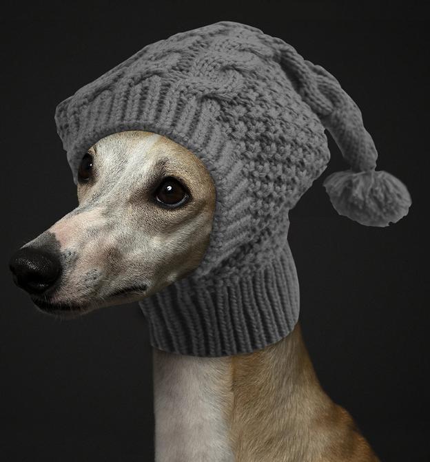 Size L Grey Whimsical Knit Dog Hat with Pom-Pom - Cozy Winter Pet Beanie & Snood - Image 2