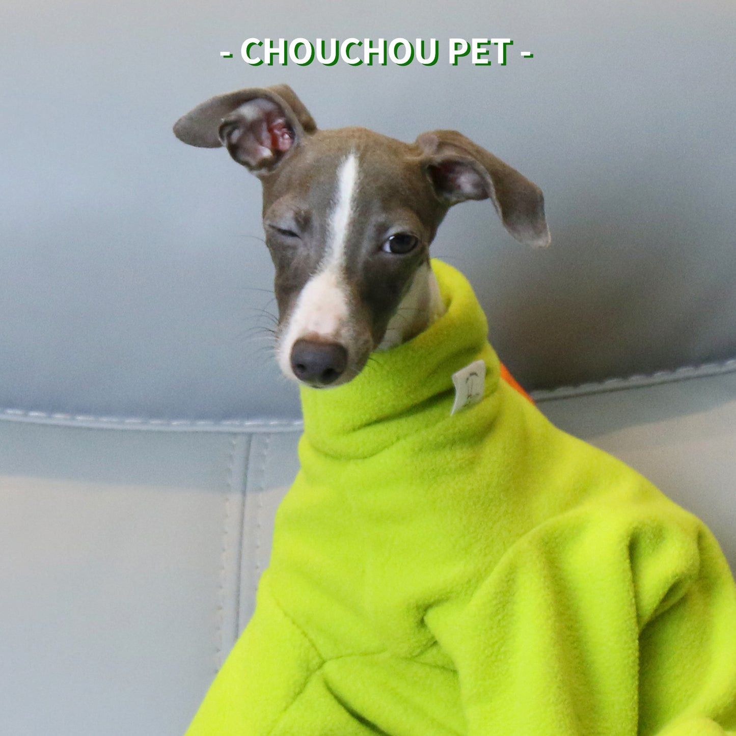 S Adorable Dinosaur Fleece Dog Jumpsuit - Warm Winter Pajamas for Whippets & Italian Greyhounds - Image 3