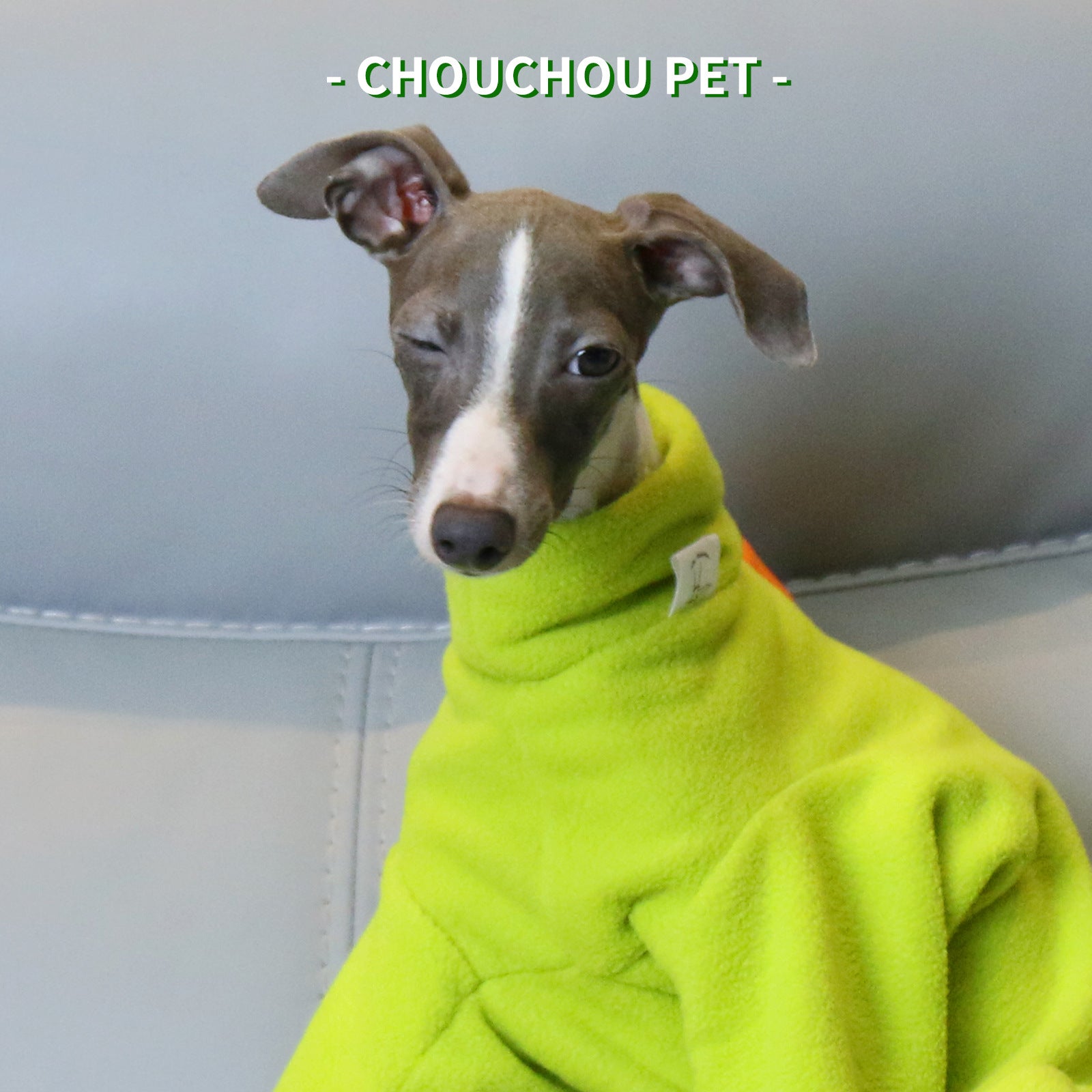 S Adorable Dinosaur Fleece Dog Jumpsuit - Warm Winter Pajamas for Whippets & Italian Greyhounds - Image 3