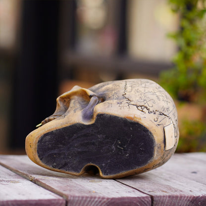 Mystic Runic Skull Statue with Gold Fang - Hand-Painted Resin Figurine for Gothic & Halloween Decor - Image 3