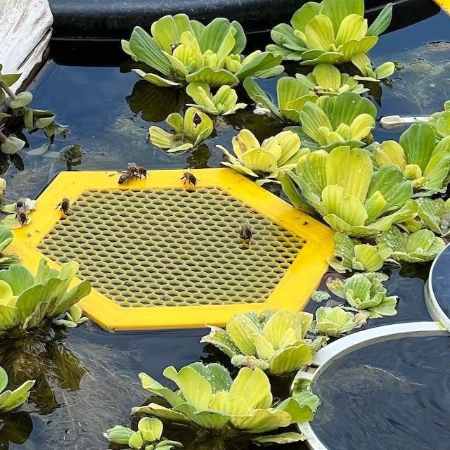 2PCS L 210x180x3.5mm Yellow Floating Bee Saver Waterer - Safe Drinking Platform for Garden Ponds & Bird Baths - Image 3