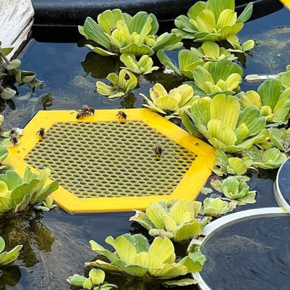 2PCS L 210x180x3.5mm Purple Floating Bee Saver Waterer - Safe Drinking Platform for Garden Ponds & Bird Baths - Image 3