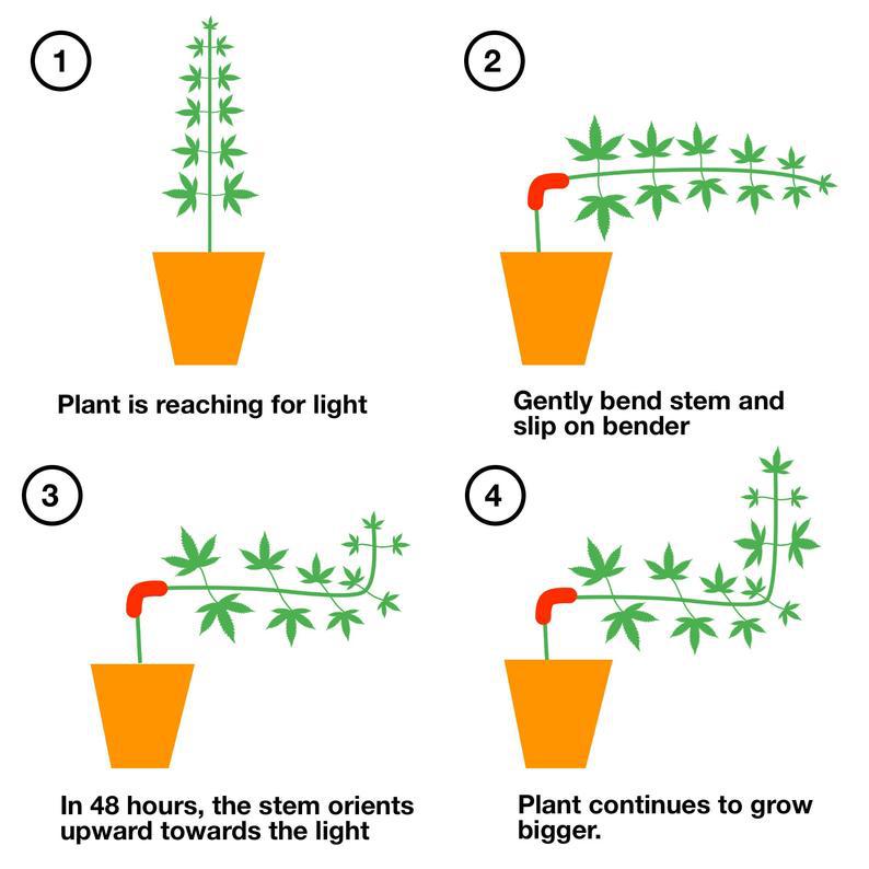 60PCS Green 90-Degree Plant Bender Clips for Low-Stress Training (LST) - Reusable Stem & Branch Trainer for Increased Yields - Image 3