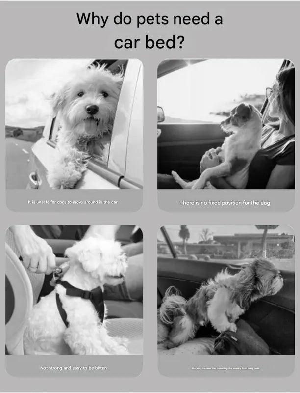 Turquoise Plush Dog Car Booster Seat - 2-in-1 Travel Bed for Small Dogs with Washable Cover - Image 3