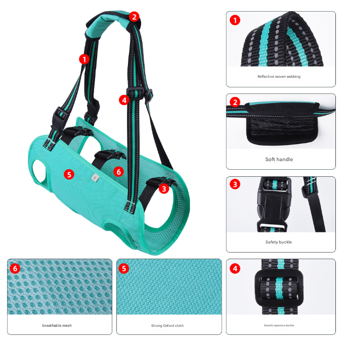 Green Pet Support Harness for Senior and Disabled Dogs - Adjustable Chest and Back Support Leash(Size M) - Image 3