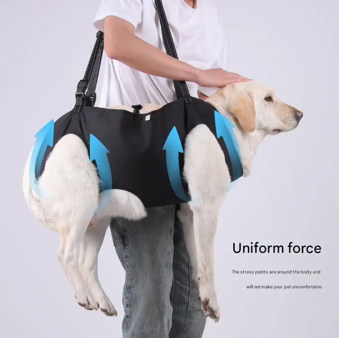 Black Pet Support Harness for Senior and Disabled Dogs - Adjustable Chest and Back Support Leash(Size L) - Image 3
