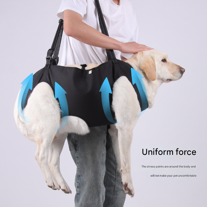 Green Pet Support Harness for Senior and Disabled Dogs - Adjustable Chest and Back Support Leash(Size S) - Image 2