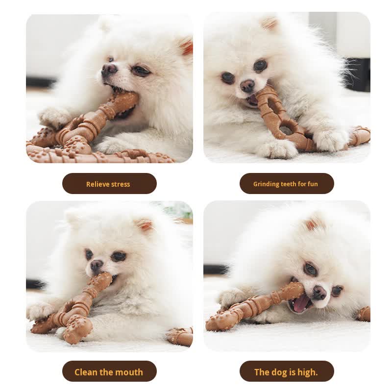 Glasses Durable Dog Chew Toy for Dental Health - Tough, Non-Toxic Teething Bone for Small & Medium Dogs - Image 2