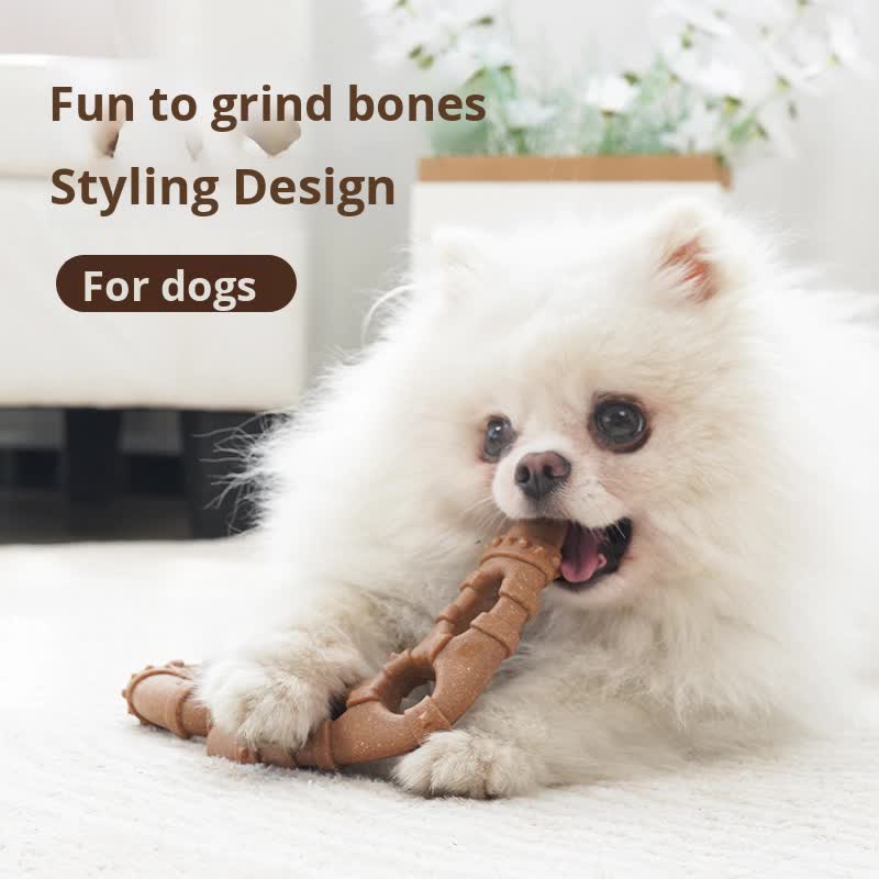 Glasses Durable Dog Chew Toy for Dental Health - Tough, Non-Toxic Teething Bone for Small & Medium Dogs - Image 3