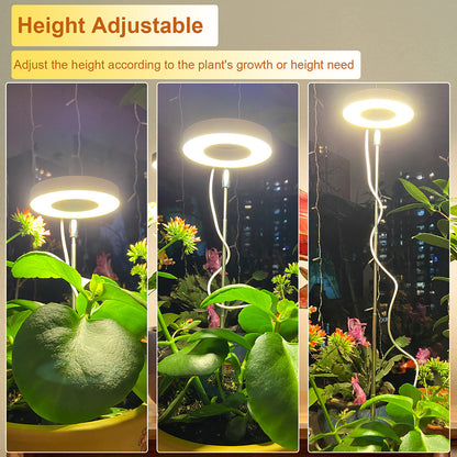 White Full Spectrum LED Grow Light with Telescopic Stake for Indoor Plants - Image 2