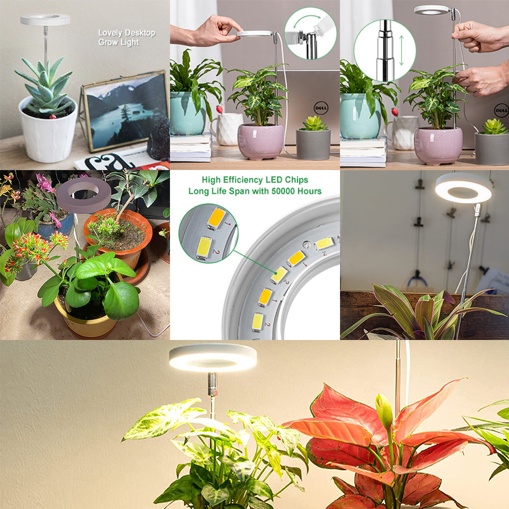 White Full Spectrum LED Grow Light with Telescopic Stake for Indoor Plants - Image 3
