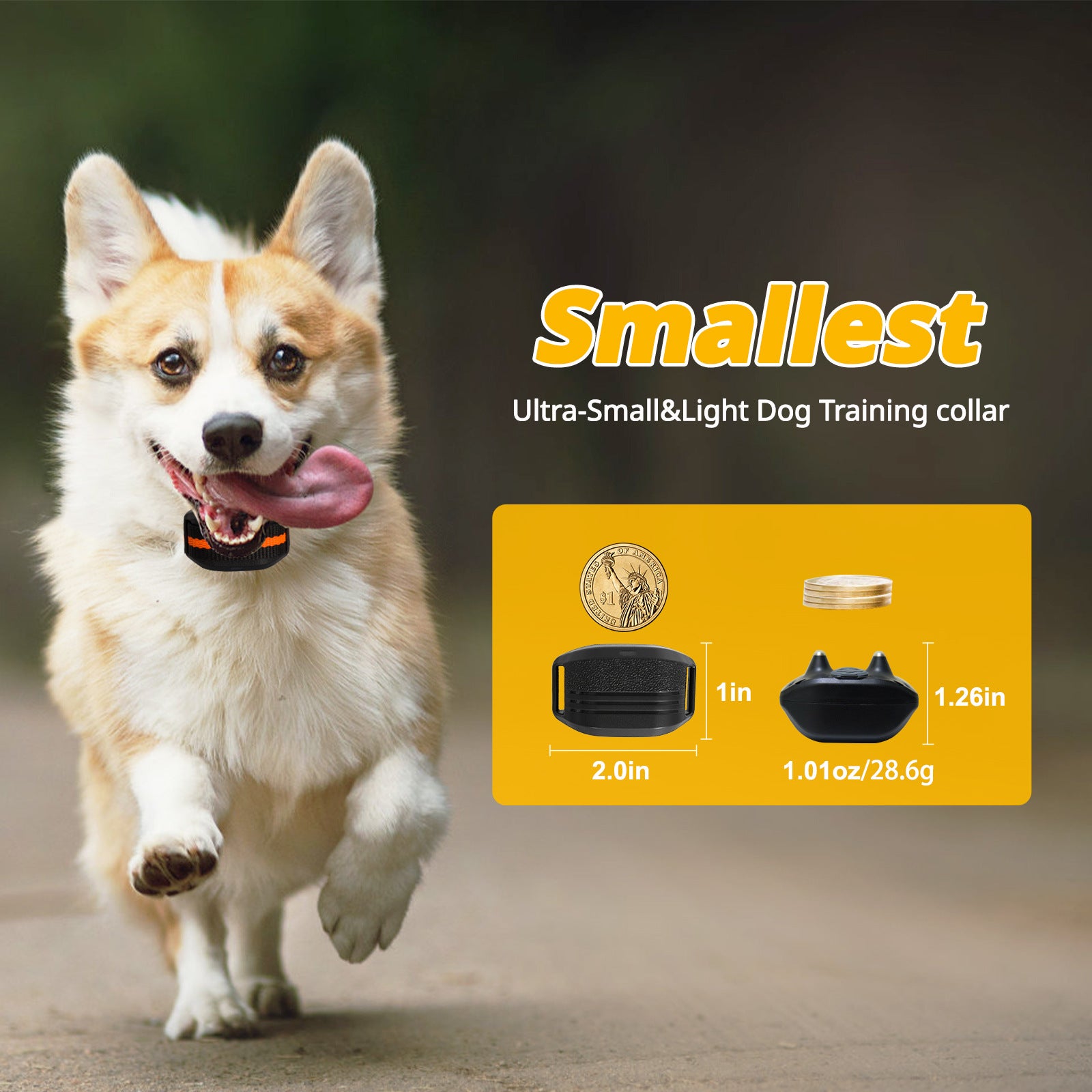Ultra-Small & Lightweight Dog Training Collar with Remote - 3 Modes, Adjustable Levels, Fits All Sizes(black) - Image 2