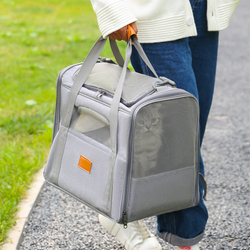 Foldable Soft-Sided Pet Carrier for Travel - Fits Cats & Small Dogs Under 6kg, with Removable Plush Bed & Shoulder Strap(black) - Image 3