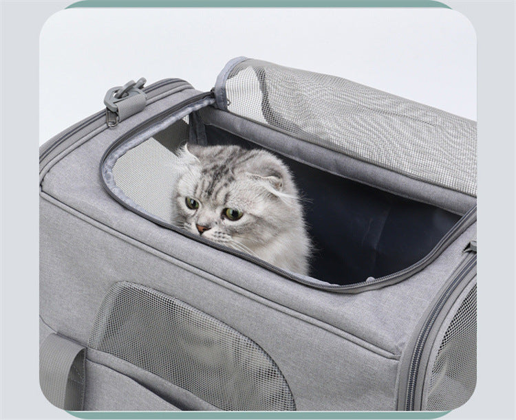 Foldable Soft-Sided Pet Carrier for Travel - Fits Cats & Small Dogs Under 6kg, with Removable Plush Bed & Shoulder Strap(black) - Image 5