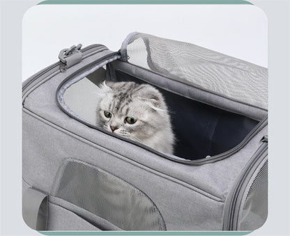 Foldable Soft-Sided Pet Carrier for Travel - Fits Cats & Small Dogs Under 6kg, with Removable Plush Bed & Shoulder Strap(black) - Image 5
