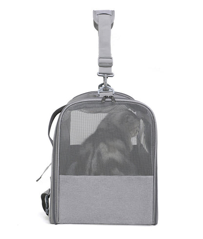Foldable Soft-Sided Pet Carrier for Travel - Fits Cats & Small Dogs Under 6kg, with Removable Plush Bed & Shoulder Strap(black) - Image 8