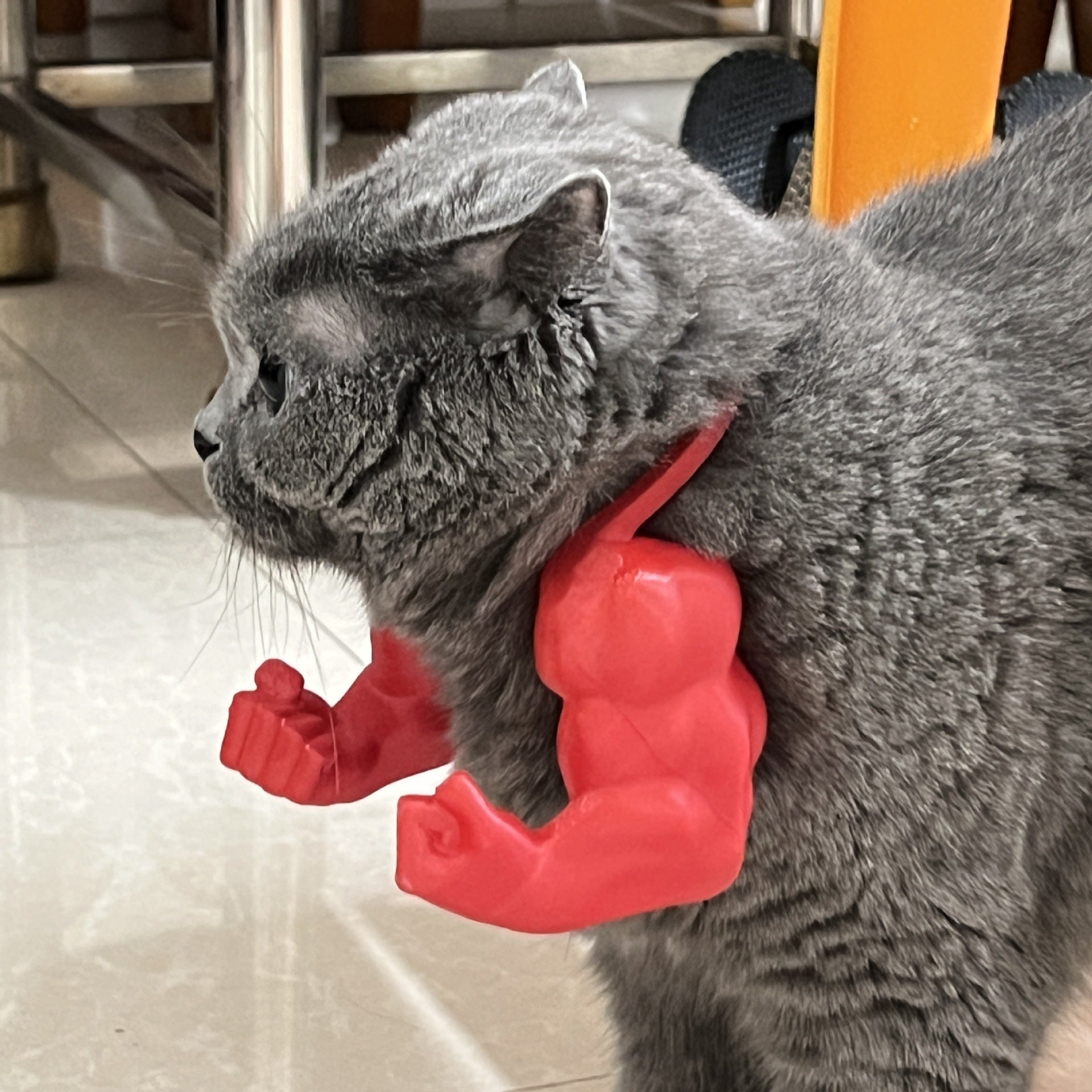2pc Hilarious Muscle Arm Pet Costume Prop - Funny Novelty Arms for Cats & Small Dogs(blue) - Image 9
