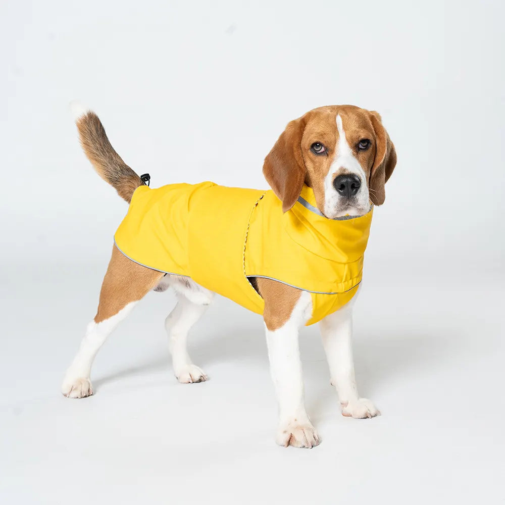 M Yellow All-Season Pet Raincoat - Waterproof & Dustproof High-Collar Dog Windbreaker for Spring