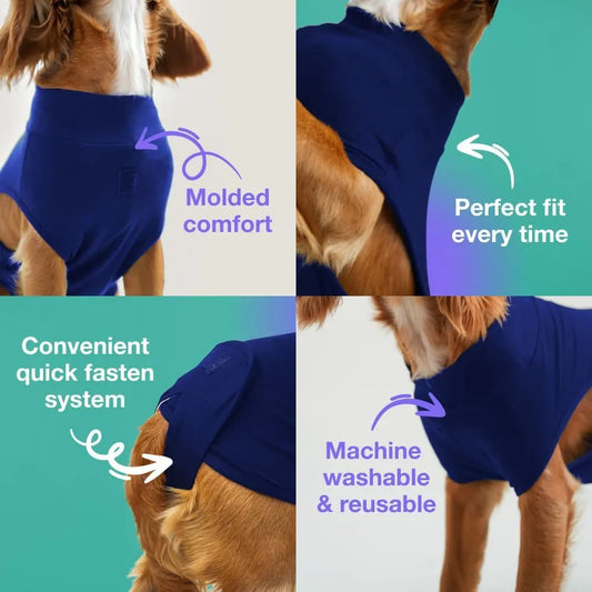 XL Blue Premium Pet Physiological Suit - Comfortable & Breathable Bamboo Modal Recovery Suit - Image 2