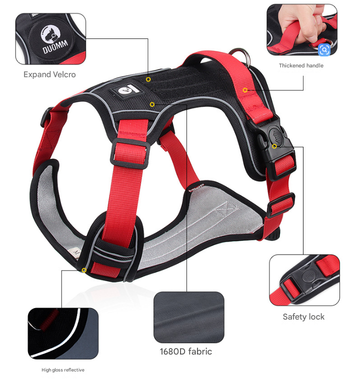 Blue S Adjustable No-Pull Dog Harness and Leash Set - Reflective & Padded Vest for Medium to Large Dogs - Image 4