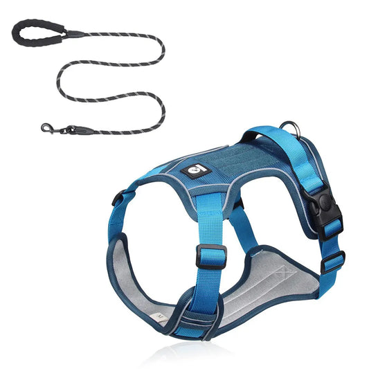 Blue M Adjustable No-Pull Dog Harness and Leash Set - Reflective & Padded Vest for Medium to Large Dogs