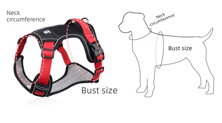 Blue M Adjustable No-Pull Dog Harness and Leash Set - Reflective & Padded Vest for Medium to Large Dogs - Image 3