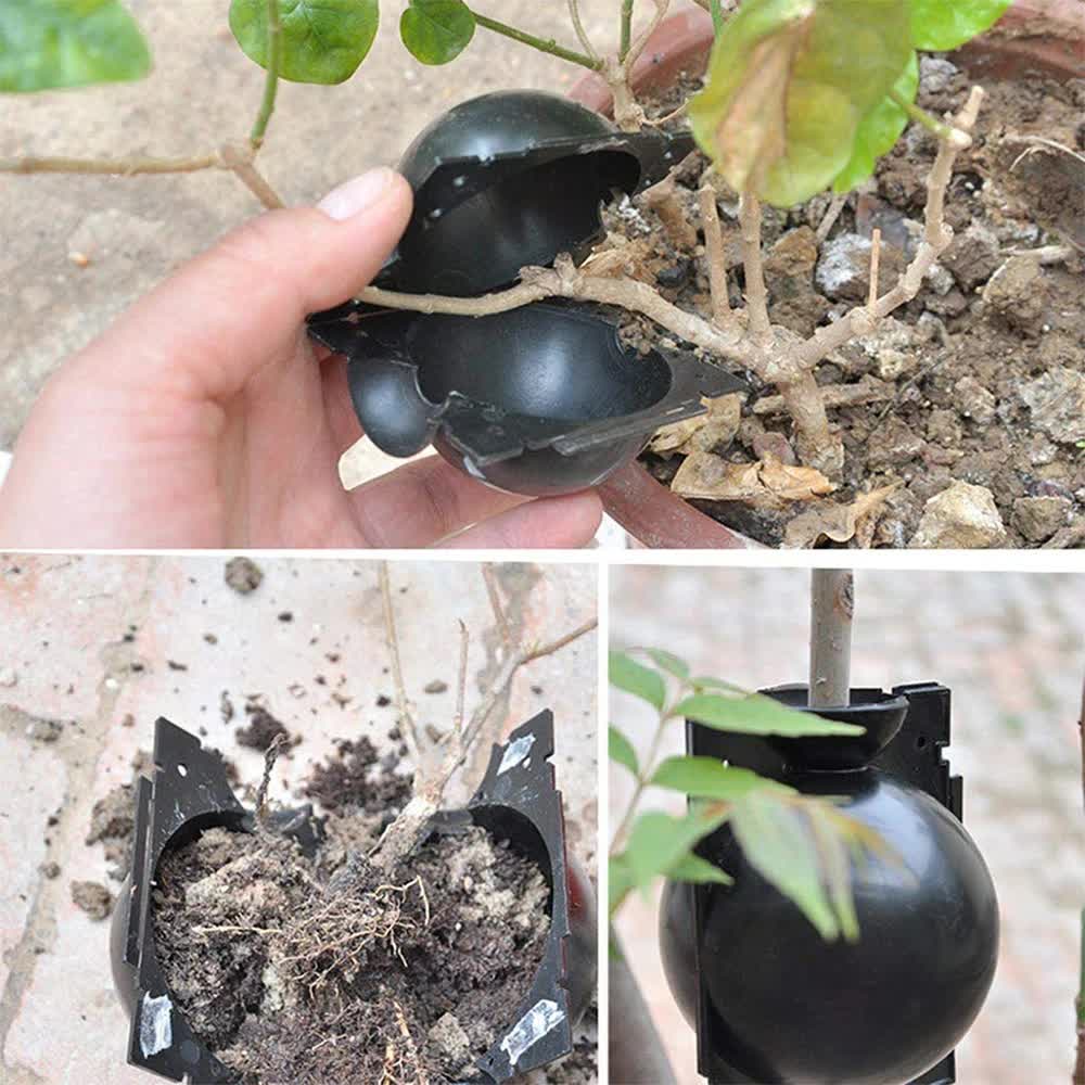 5-Pack Transparent Reusable Plant Air Layering Propagation Pod (Diameter: 5cm) - Anti-Waterlogging Grafting Root Ball Rooting Device for Flower & Fruit Trees - Image 2
