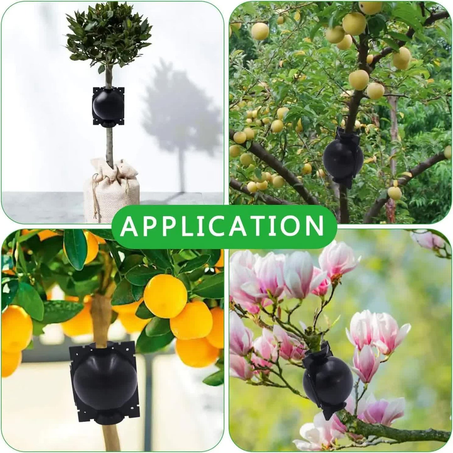 5-Pack Transparent Reusable Plant Air Layering Propagation Pod (Diameter: 5cm) - Anti-Waterlogging Grafting Root Ball Rooting Device for Flower & Fruit Trees - Image 3