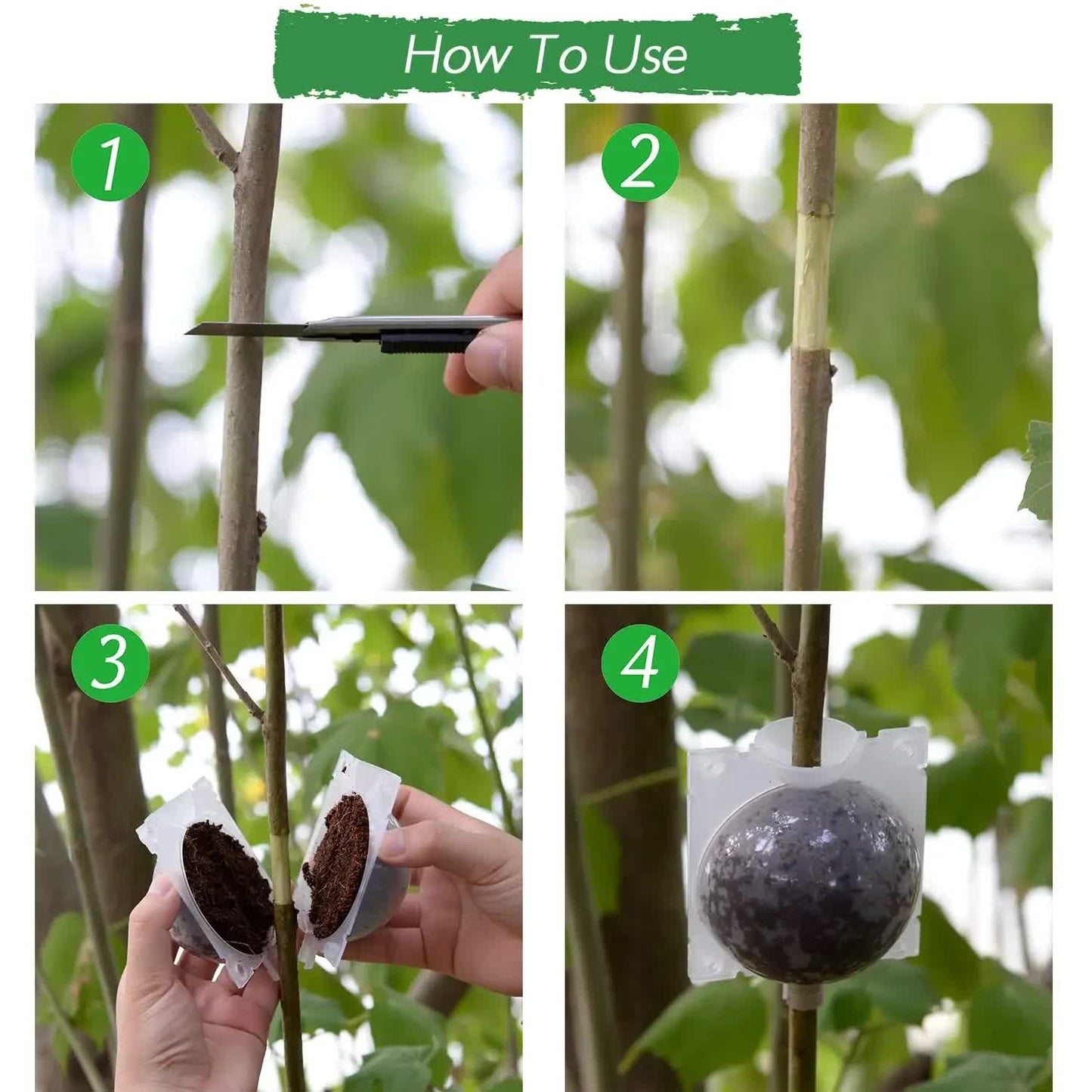 5-Pack Transparent Reusable Plant Air Layering Propagation Pod (Diameter: 5cm) - Anti-Waterlogging Grafting Root Ball Rooting Device for Flower & Fruit Trees - Image 4