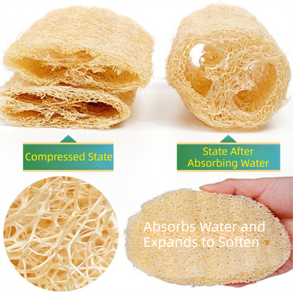 4-Pack Natural Loofah Sponge Scrubber (Oval Compressed Slice: 13x8CM) - Eco-Friendly Dual Use for Kitchen & Body - Image 3