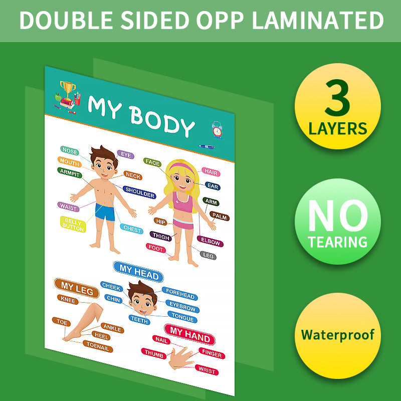 12-Pack Educational Posters for Kids - Laminated Preschool & Kindergarten Learning Charts - ABCs, Numbers, Shapes, Solar System, Weather & More - Image 3