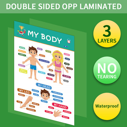 12-Pack Educational Posters for Kids - Laminated Preschool & Kindergarten Learning Charts - ABCs, Numbers, Shapes, Solar System, Weather & More - Image 3