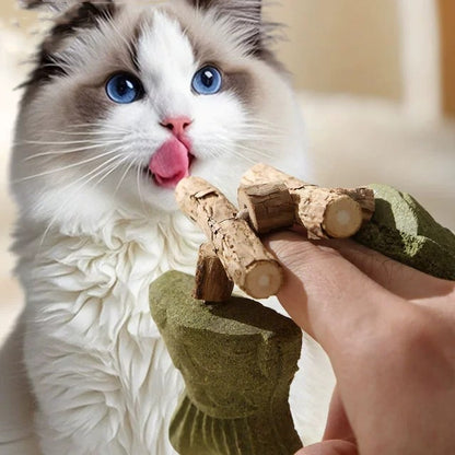 Brown and green 5 Pack Cat Catnip Toys Fish Bone Shaped Silvervine Chew Sticks for Teeth Cleaning and Interactive Play - Image 3