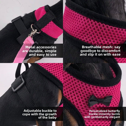 2-Pcs Black Adjustable Pet Harness with Leash – Breathable Mesh Design for Small Dogs, Cats, Chickens, Ducks & More | Anti-Escape, 360° Support, Lightweight & Comfortable in Australia(Size:M) - Image 5