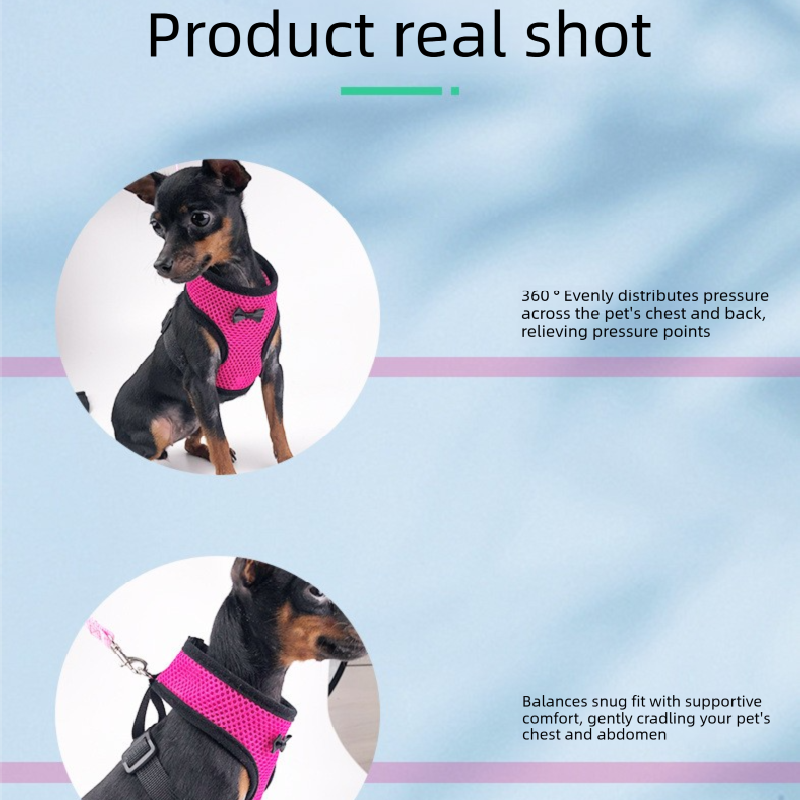 2-Pcs Black Adjustable Pet Harness with Leash – Breathable Mesh Design for Small Dogs, Cats, Chickens, Ducks & More | Anti-Escape, 360° Support, Lightweight & Comfortable in Australia(Size:L) - Image 4
