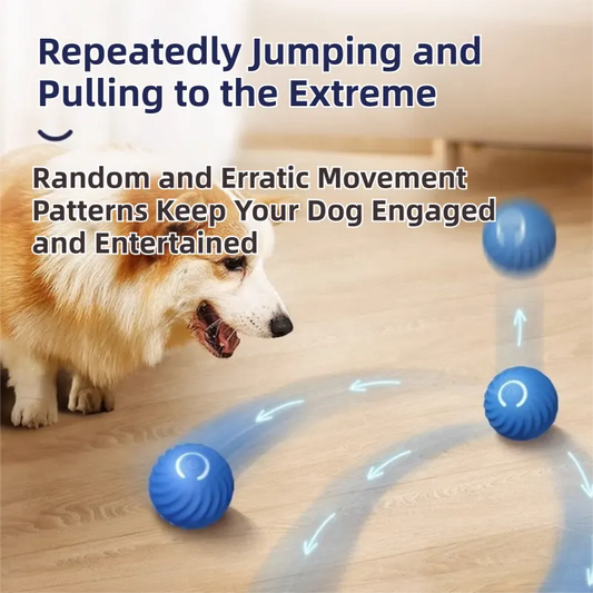 Blue Interactive Gravity Bouncing Dog Toy Ball(56MM) - Smart Automatic Teasing Pet Toy, Durable TPR with Yellow Sea Urchin Cover - Image 3