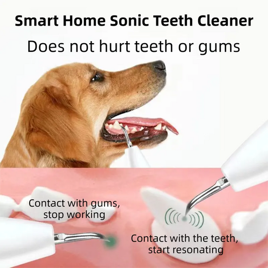 Professional Waterproof Ultrasonic Pet Tooth Cleaner - Dog Cat Painless Calculus and Stain Remover Kit with 4 Cleaning Heads, LED, UV Disinfection, Oral Mirror & Dental Floss - Image 3