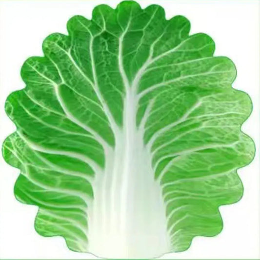 Cute Cabbage-Shaped Fleece Blanket – Fun and Cozy Throw for Naps, Office Use, Air Conditioning, or Baby Swaddling (Green & White)(100cm*100cm)