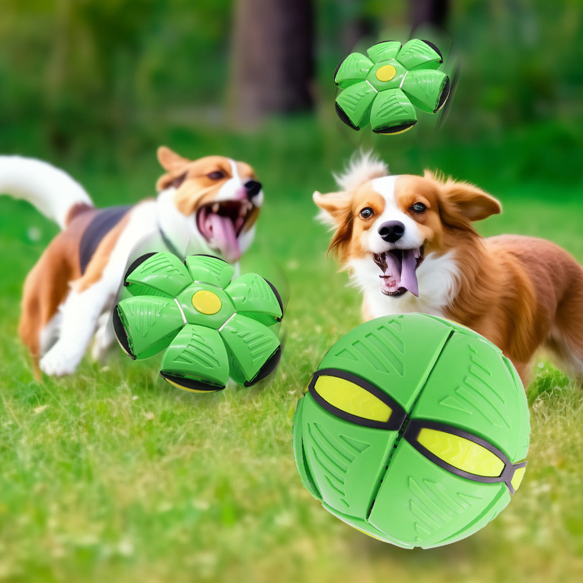 Green Transformable Dog Toy – Dual-Mode Bouncing Ball & Flying Disc for Interactive Play, Durable Chewing, and Mental Stimulation - Image 4